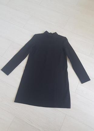 Плаття сукня