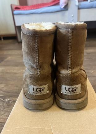 Чоботи ugg4 фото