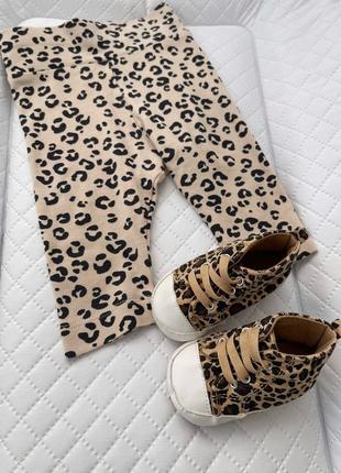 Пинетки и лосины н&м кеды кроссовки