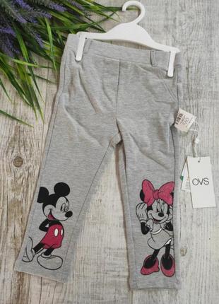 Джегінси легінси ovs