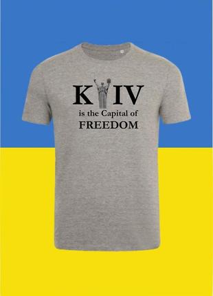 Футболка youstyle kyiv is the capital of freedom 0988_g xl gray