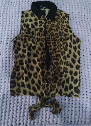 Блуза сорочка