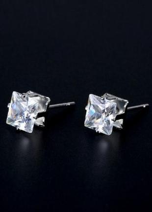 Сережки гвоздики