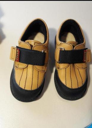 Kavat брендові шкіряні туфлі для хлопчика, 24р3 фото