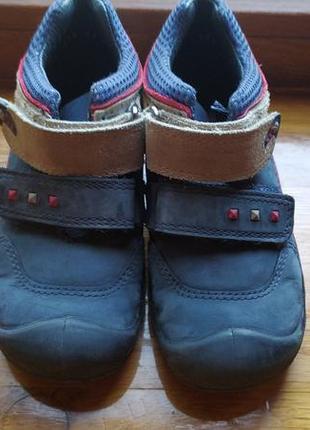 Чоботи демі еlefanten 3