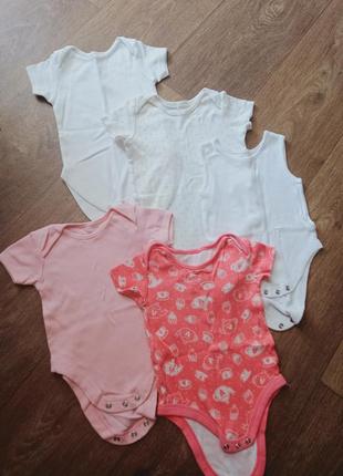 Набір боді для дівчинки 5 шт 6-9 міс
