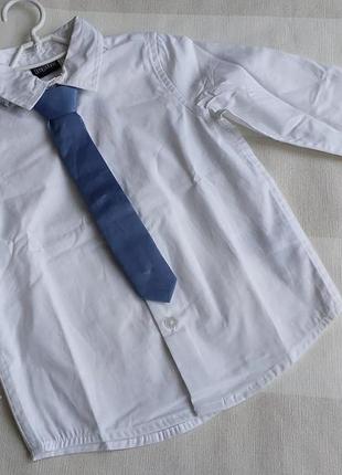 Сорочка з краваткою.