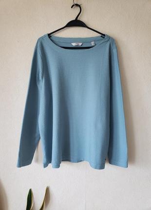 Блакитний пуловер, лонгслів, джемпер, кофта, реглан tcm tchibo (німеччина), розмір євро 48/50 - xl