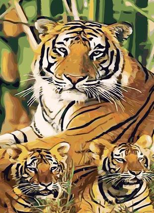 Картина по номерам тигры среди бамбука 40х50 см sy63321 фото