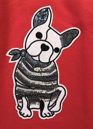 Реглан для дівчинки на 104,110,128,134 см 2