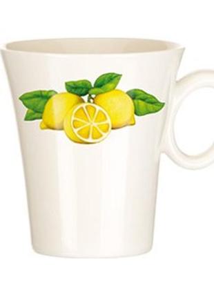 Чашка tescoma allegro fruits 300 мл (387532)