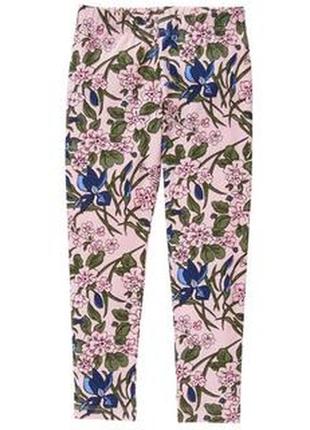 Интересные лосины фирмы crazy8, р.s.