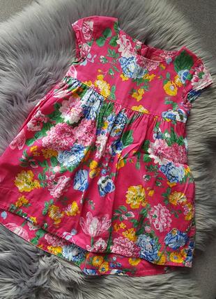 Яскрава сукня, плаття з квітами, сукня на короткий рукав