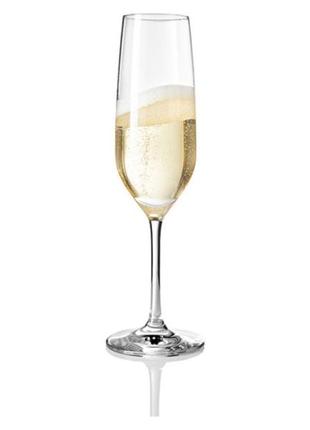 Набор хрустальных бокалов для шампанского 6 шт ernesto, 235 мл, бокалы для шампанского3 фото