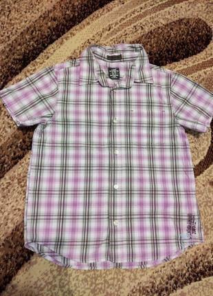 Сорочка, рубашка, теніска для хлопчика, мальчика.