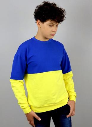 2418-41 желто-голубой свитшот для мальчиков подростков тм авекс размер 158 см