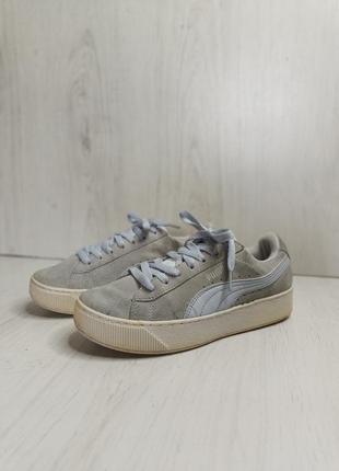 Кеди