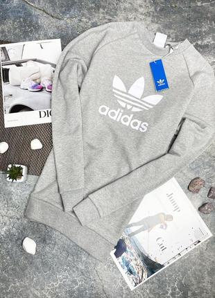 Свитшот, светр, кофта adidas originals