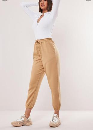 Спортивні штани джоггери з начосом