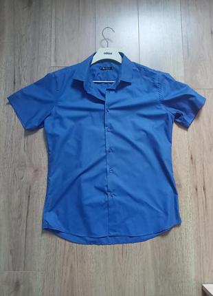 Сорочка,теніска bazzolo