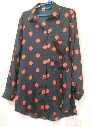 Zara сорочка блуза з довгим рукавом у горошок