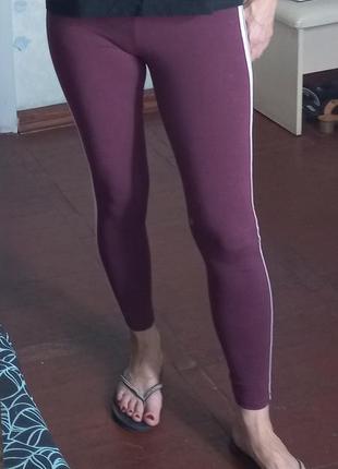 Лосины/леггинсы next. 100% хлопок. размер 6/34.