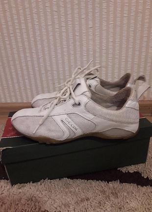 Кросівки geox