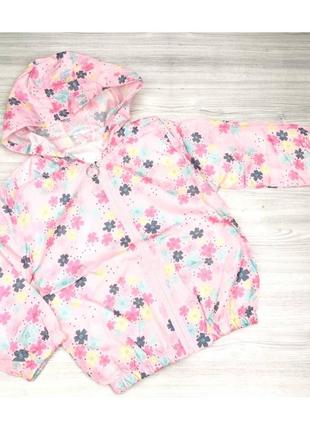 Вітрівка для дівчинки