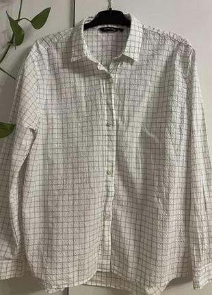 Базова брендова сорочка, рубашка