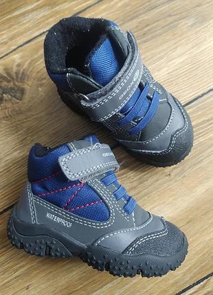 Черевики geox 20 розмір для хлопчика черевички демісезонні