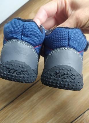 Черевики geox 20 розмір для хлопчика черевички демісезонні5 фото