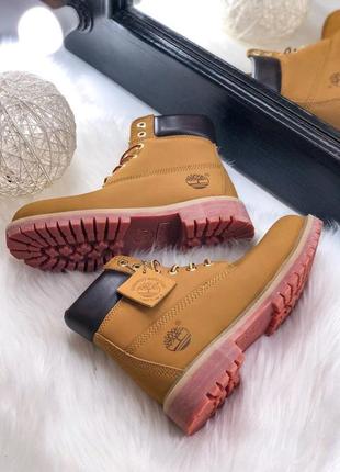 Жіночі ботінки  timberland ginger женские ботинки тимберленд1 фото