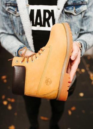 Жіночі ботінки  timberland ginger 1 женские ботинки тимберленд1 фото