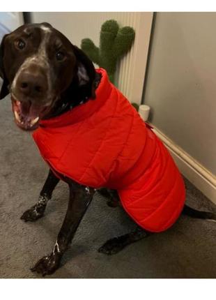 Куртка жилет для собак крупных и средних пород8 фото