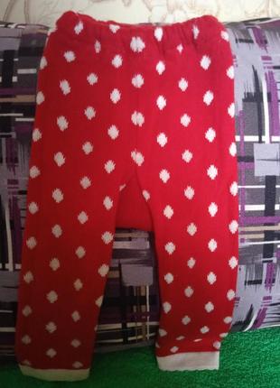 Рейтузи , гамаші