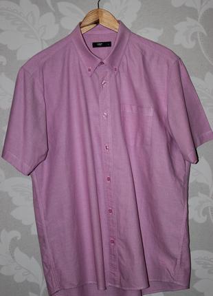 Фирменная рубашка cotton