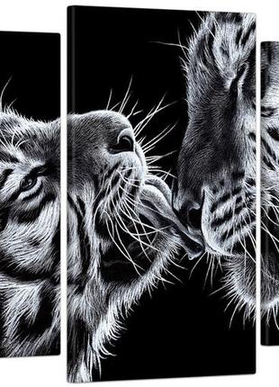Модульна картина декор карпати чорно-білі тигри 53x100 см mk30228_e1 фото