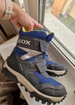 Ботинки geox5 фото
