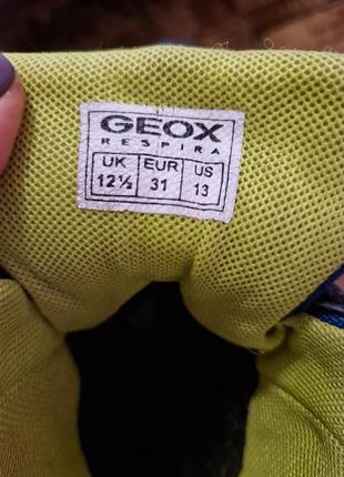 Ботинки geox6 фото