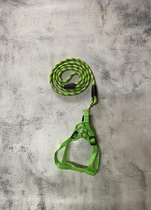 Шлейка и поводок для собак. шлея. амуниция