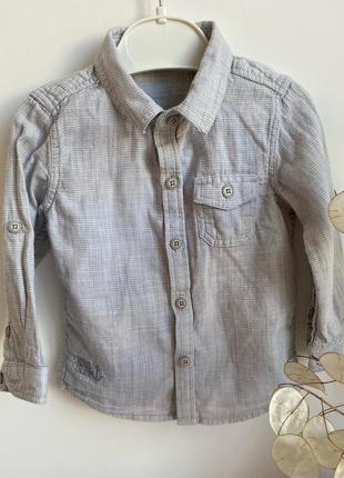 🧸 сорочка для хлопчика st.bernard🧸