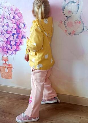 Куртка, вітровка