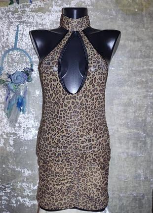 Сексуальна леопардова  сукня з сітки сітка з чокером alan spicy
