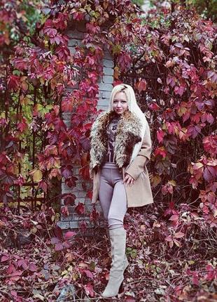 Бежеві високі чоботи замшеві чоботи colin stuart