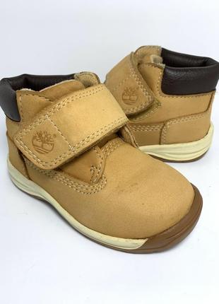 Черевички шкіряні timberland