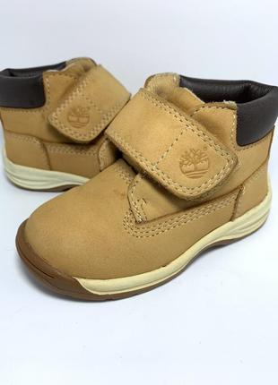 Черевички шкіряні timberland