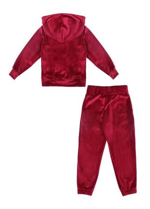Костюм двійка дитячий, спортивний, велюровий, підлітковий, кофта з капюшоном, штани, бордовий6 фото
