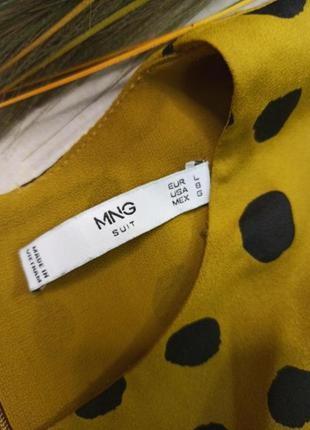 Красиве плаття в горох.mango 🔥 6