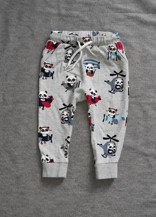 Штани, спортивні штани