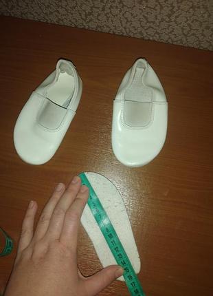 Балетки